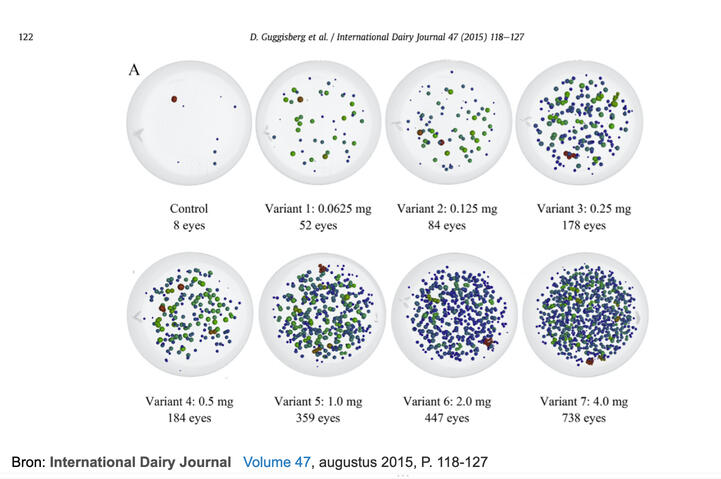 Acht kazen van boven af gezien door een rontgenscanner gehaald om te zien hoe de gaatjes zich verdelen
