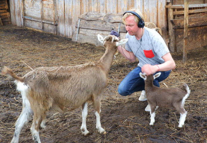 Lieven interviewt een geit, of eigenlijk eet de geit zijn microfoon op